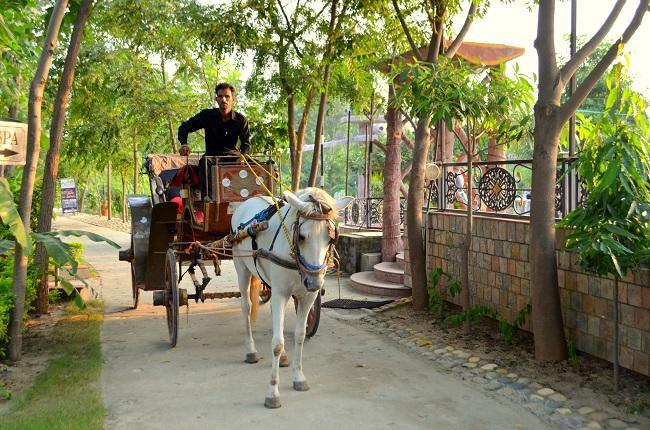 Kangs Nirvana Resorts And Spa Mahalpur Exterior foto